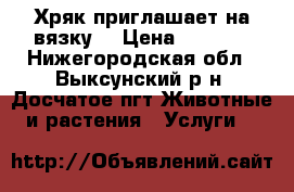 Хряк приглашает на вязку. › Цена ­ 2 000 - Нижегородская обл., Выксунский р-н, Досчатое пгт Животные и растения » Услуги   